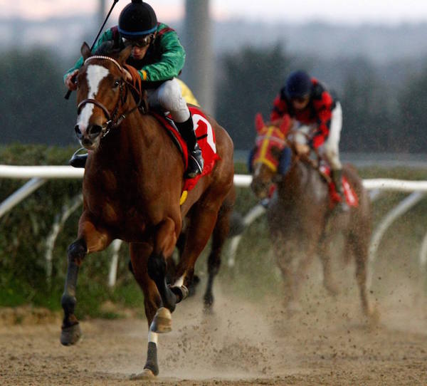 racing  at Mediterraneo racecourseSiracusa, 12th jan. 2008ph. Stefano Grasso