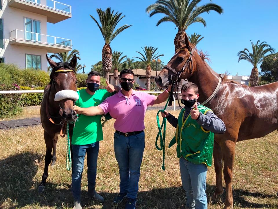 FILLY E SWEETIE