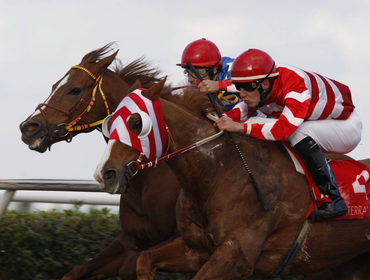 racing at Mediterraneo racecourseSiracusa, 12th jan. 2008ph. Stefano Grasso