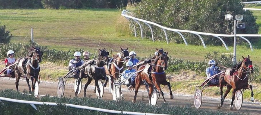 ippica-1-730x438
