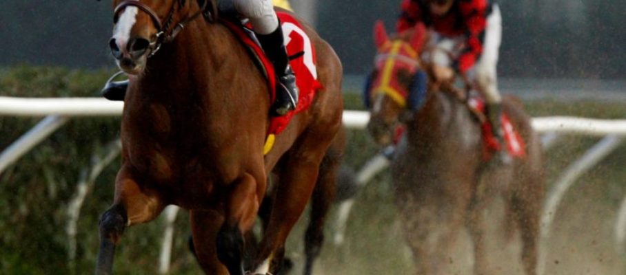 racing  at Mediterraneo racecourseSiracusa, 12th jan. 2008ph. Stefano Grasso
