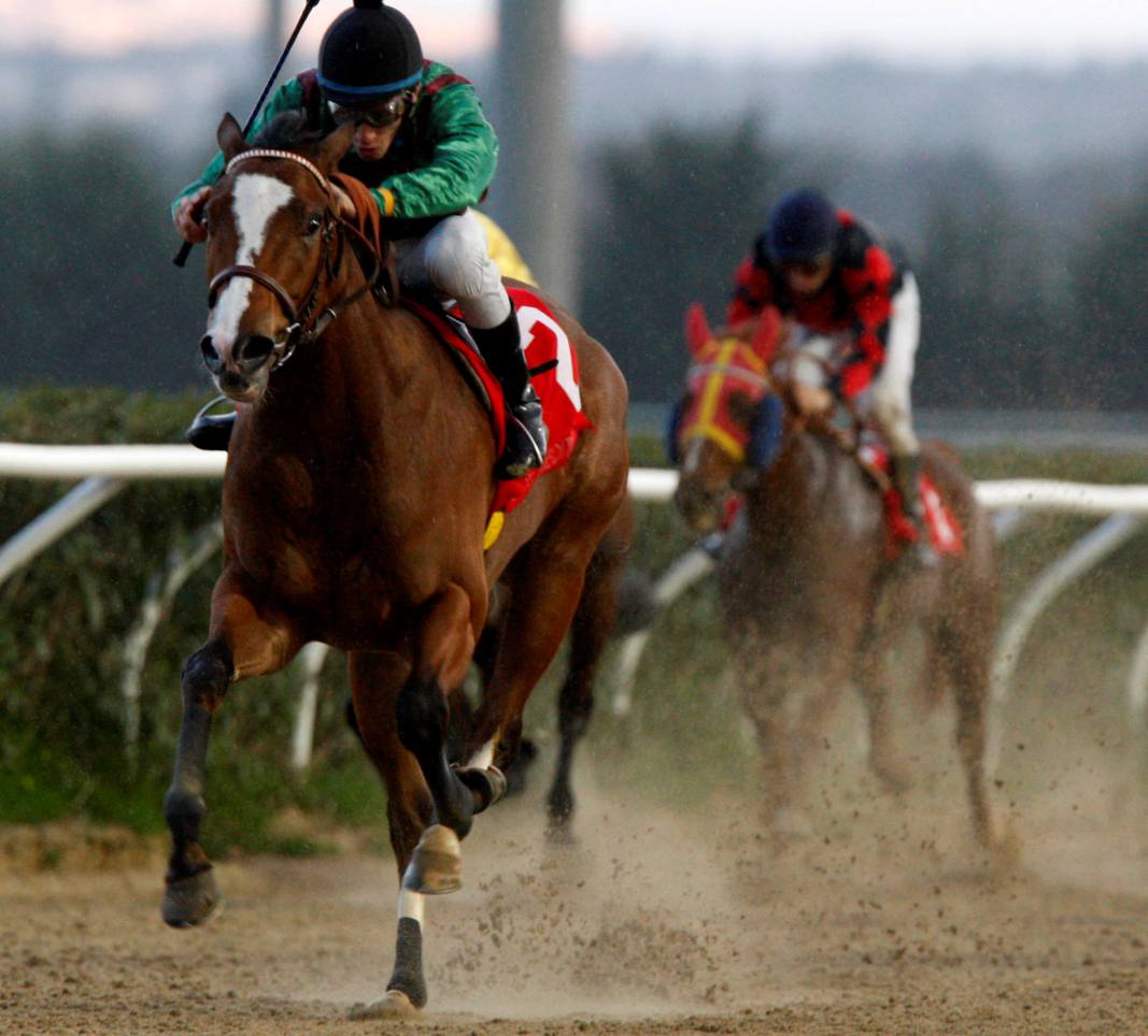 racing  at Mediterraneo racecourseSiracusa, 12th jan. 2008ph. Stefano Grasso