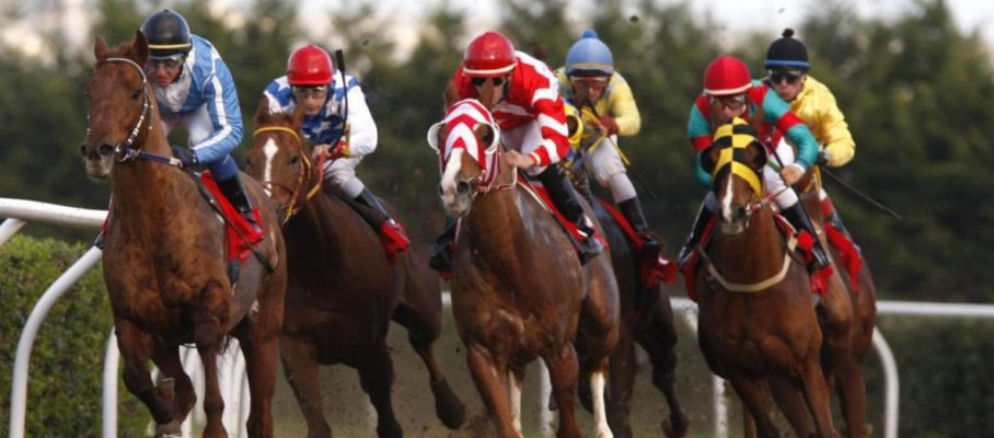 racing at Mediterraneo racecourseSiracusa, 12th jan. 2008ph. Stefano Grasso