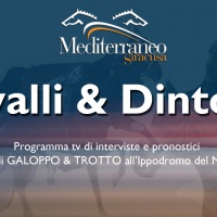 Cavalli-&-Dintorni-New-Miniatura.jpg